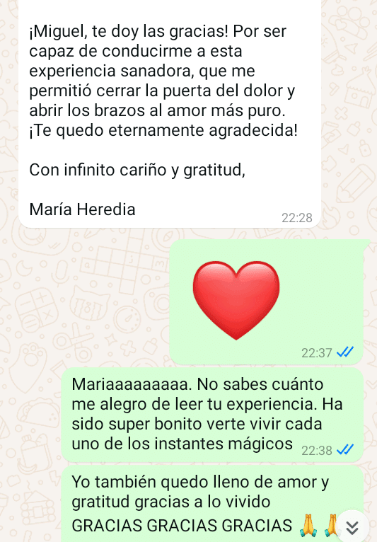 Testimonio de María sobre la terapia regresiva con Miguel Ángel Carroza Barroso, final